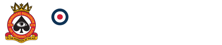 378 Mannock Squadron RAF Air Cadets Logo